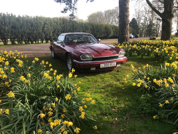 Jaguar XJS 4.0 2dr