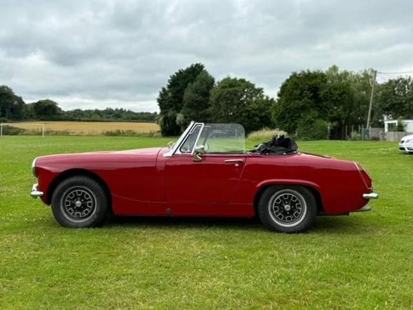 Austin Healey Sprite
