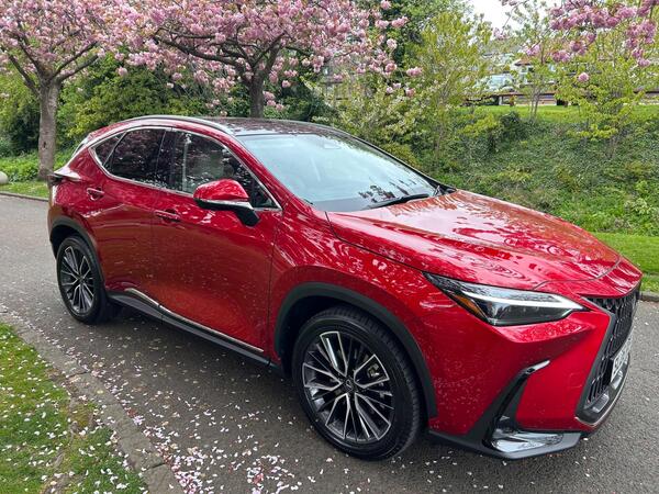 Lexus NX 2.5 450h+ 18.1kWh Takumi E-CVT 4WD Euro 6 (s/s) 5dr