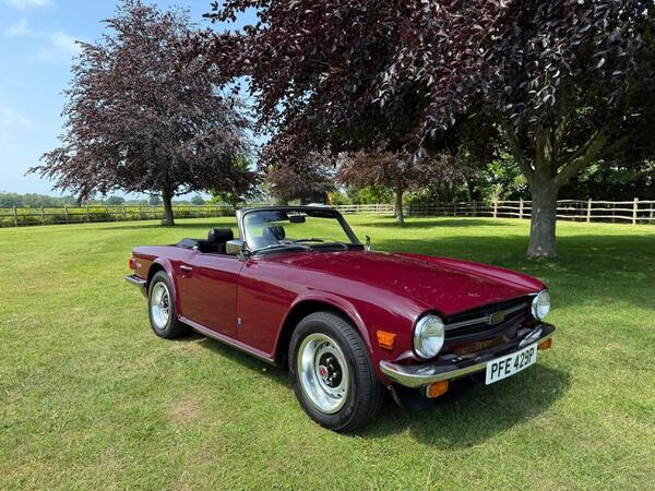 Triumph TR6