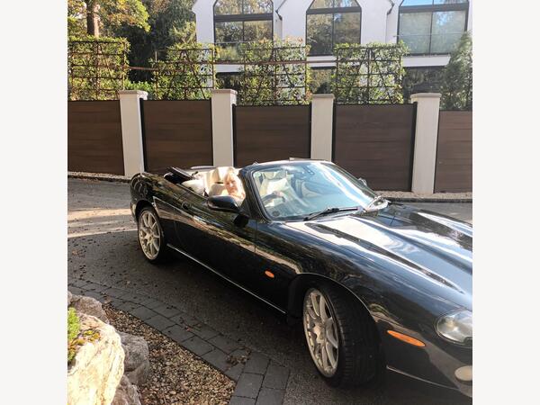 Jaguar XK8 4.2 Premium 2dr