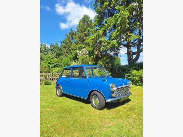 Austin Mini