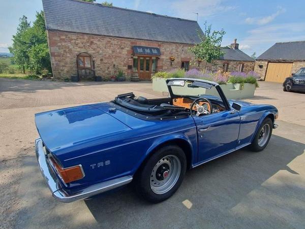Triumph TR6