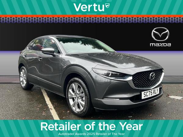 Mazda CX-30 2.5 e-SKYACTIV G MHEV Takumi Euro 6 (s/s) 5dr