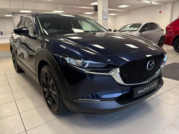 Mazda CX-30 2.5 e-SKYACTIV G MHEV Homura Euro 6 (s/s) 5dr