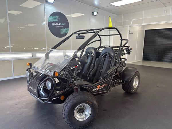 PGO Quadzilla 250E Buggy BUG RIDER 250 4 X NEW TYRES-SERVICED READY TO GO