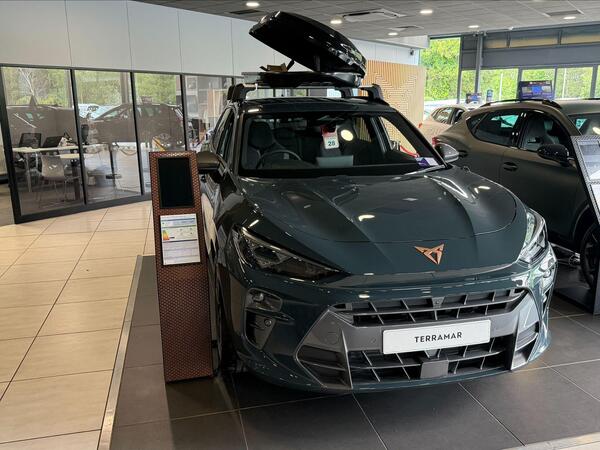 CUPRA Terramar 2.0 TSI V2 DSG 4Drive Euro 6 (s/s) 5dr