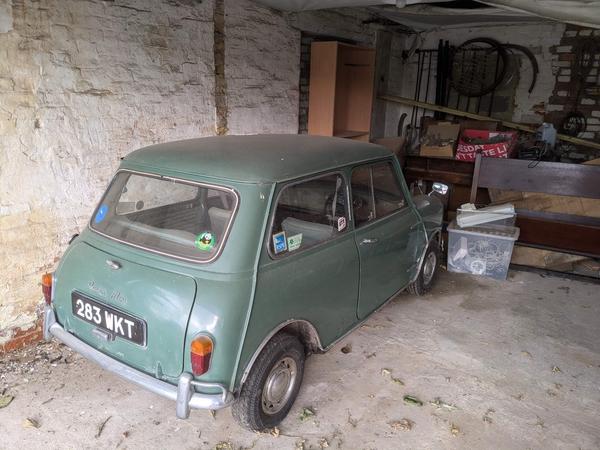 Austin Mini
