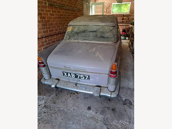 Austin A55 Cambridge