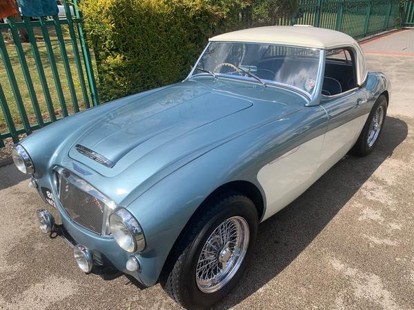 Austin Healey 100 bn4 2.6