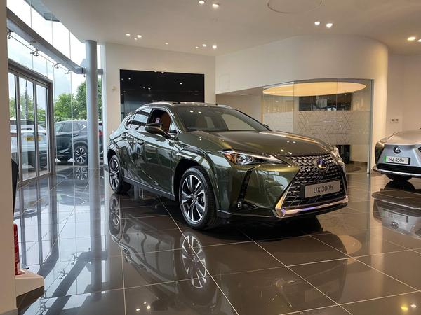 Lexus UX 2.0 300h Takumi E-CVT Euro 6 (s/s) 5dr