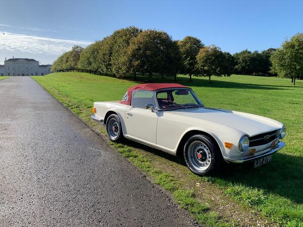 Triumph TR6